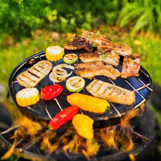 Panorama Du Viande (3ps)