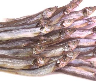 Gromadnik Suszony Albakor  Ok. 100g