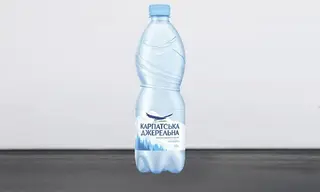 Карпатська джерельна не газ 0,5
