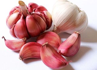 Ail Frais 250g