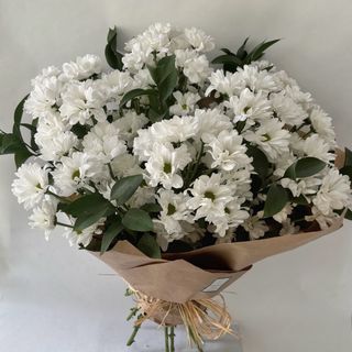 Ramo Margarida
