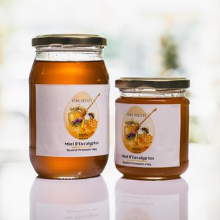 Miel D'eucalyptus 250g