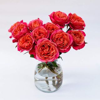  Róze 7 szt kształt piwonii