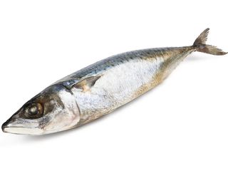 Скумбрія (100g)
