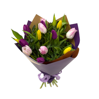 15 lalele colorate în ambalaj mov