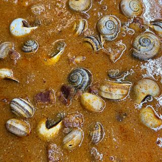 Caracoles con salsa 