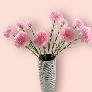 Goździki solo 5 sztuk 