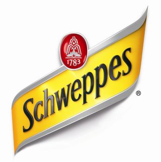 Schweppes Tonic 33cl Can
