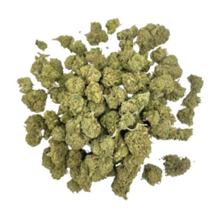 Minis GlassHouse 10GR