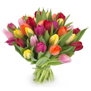 Mazzo tulipani