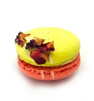 Macaron Pist/Rose