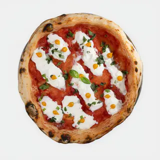 MARGARITA ZIA