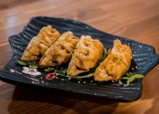 Gyozas de Frango