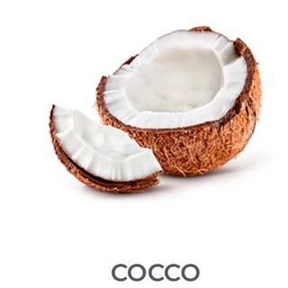Cocco