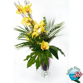 Ramo di orchidea cymbidium