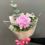 Hortensia roz cu eucalipt