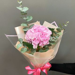 Hortensia roz cu eucalipt