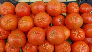 Мандарина