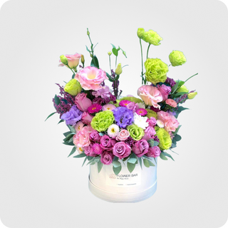  კომპოზიცია B -1 