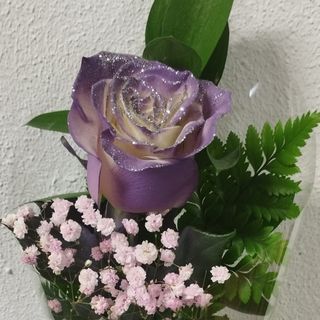 Rosa lila decorada