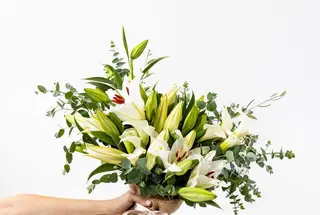 Giglio bianco