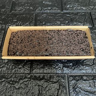 Mini cake chocolat 