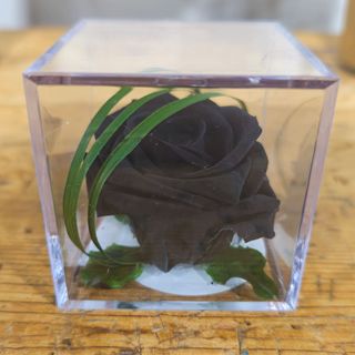 Cubo con rosa ETERNA NEGRA