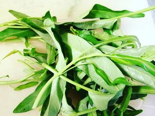Spinaci d'acqua