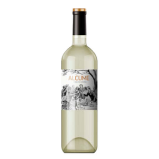 P13. Vino Blanco De La Casa