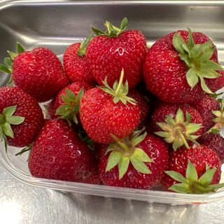 Fragola terracina  al cestino