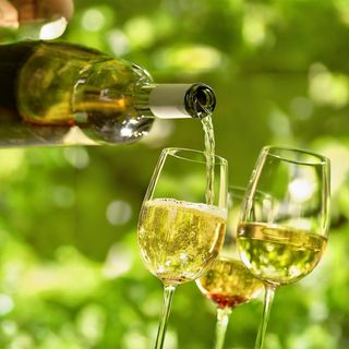 თელიანი ველის წინანდალი 0.75