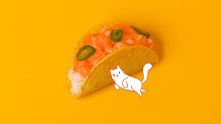 Tacos di Salmone crudo