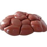 Fresh Beef Kidney, 1 Unit