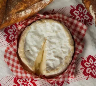 camembert