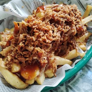 Pulled Pork Fries
