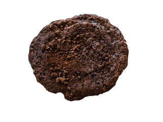 Cookie czekoladowy