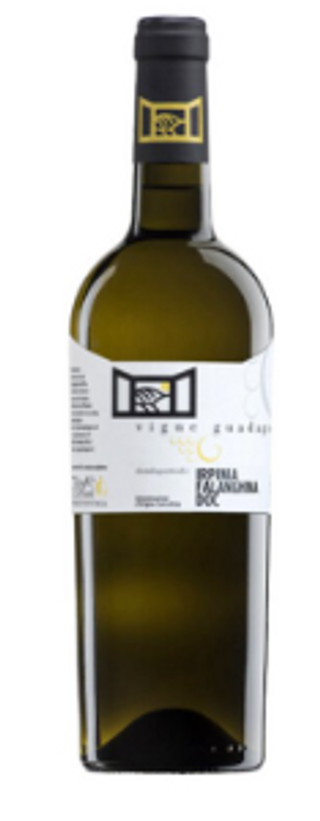 Falanghina (Vigne Guadagno)