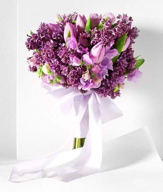 იასამანი და  ტიტა