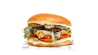 FAIN BURGER DELUXE - 300G