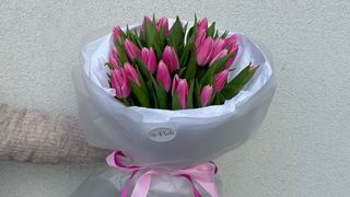 Bukiet różowych tulipanów - 25 sztuk