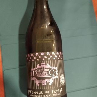 Lambrusco Rosé 