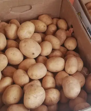 Krumpir mladi 1kg