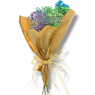 Ramo paniculata color 