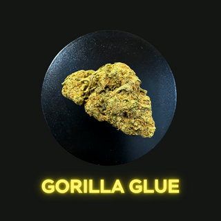 Gorilla Glue 1Gr