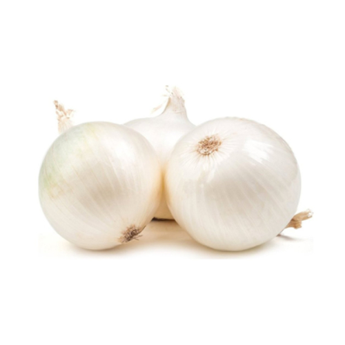 Liliáceas