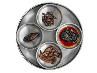 Jungle Set (10/30g)