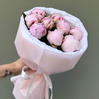 9 Peonias