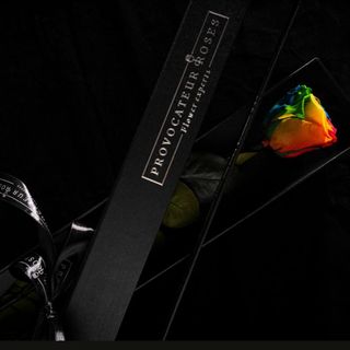 Rosa eterna arcoiris 