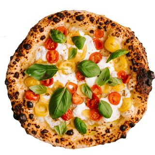  Max Napoli 