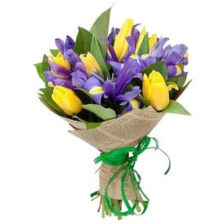 żółte tulipany i irysy